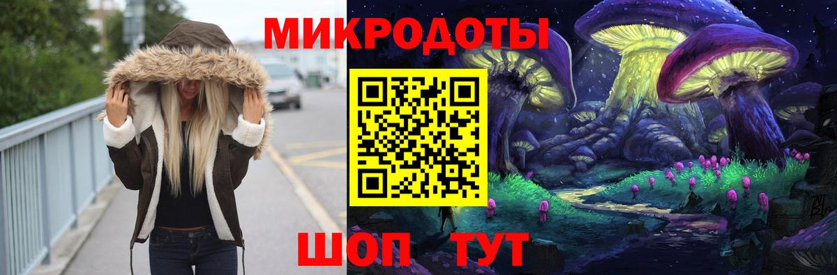 Псилоцибиновые грибы Psilocybe Саров