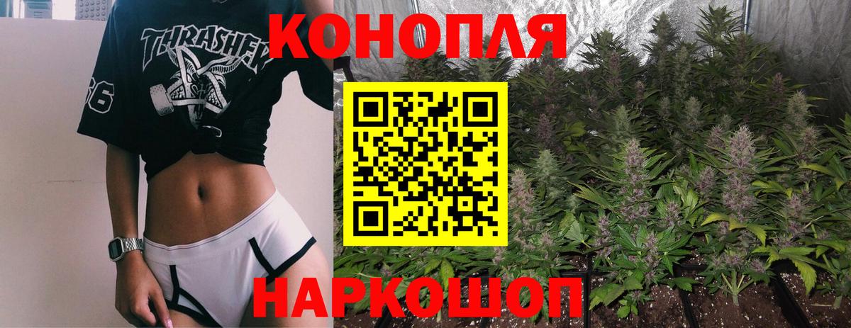 Шишки марихуана планчик  Вход с VPN  Конопля LSD WEED  Каннабис индика  Саров 